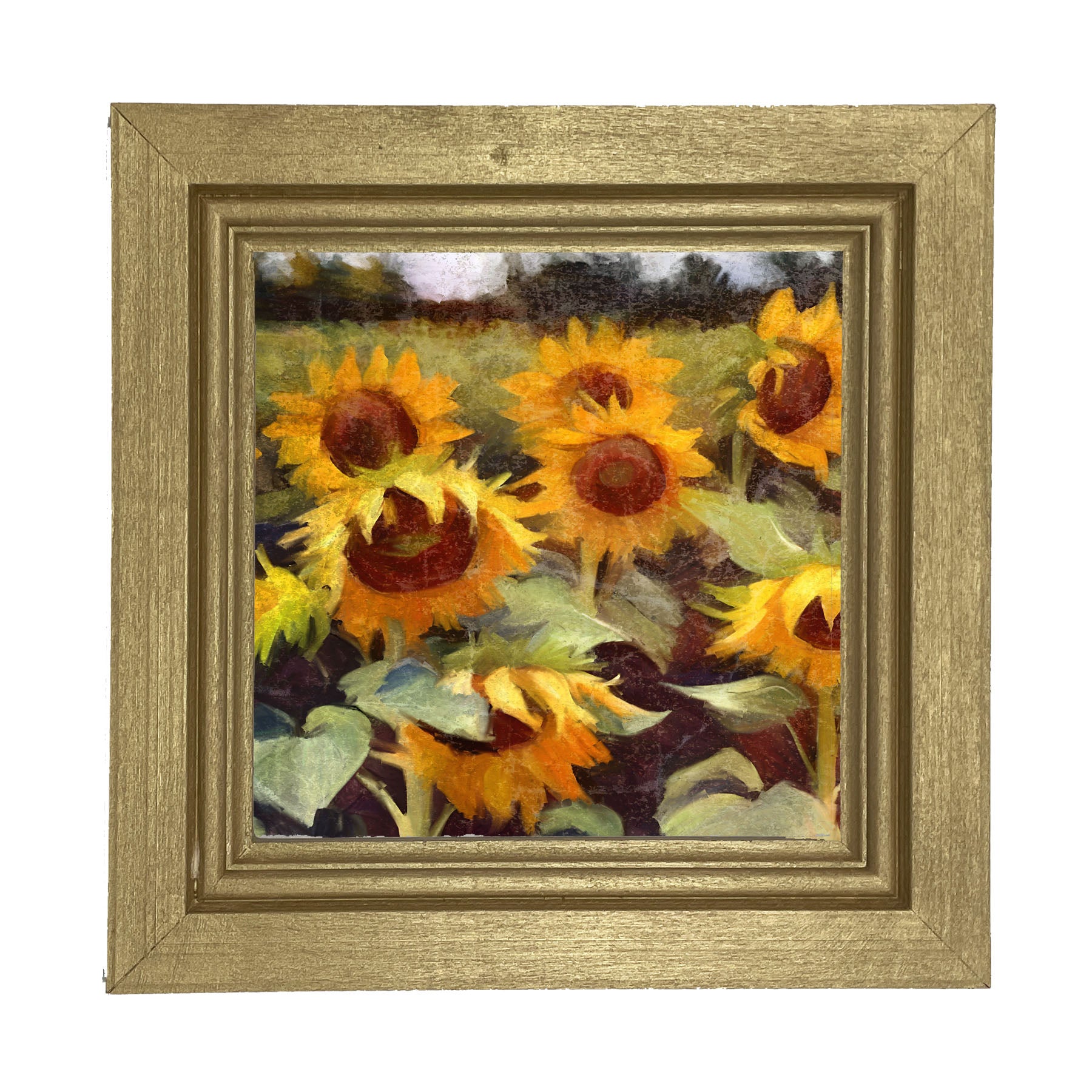 Scenic Sunflowers - Framed Art