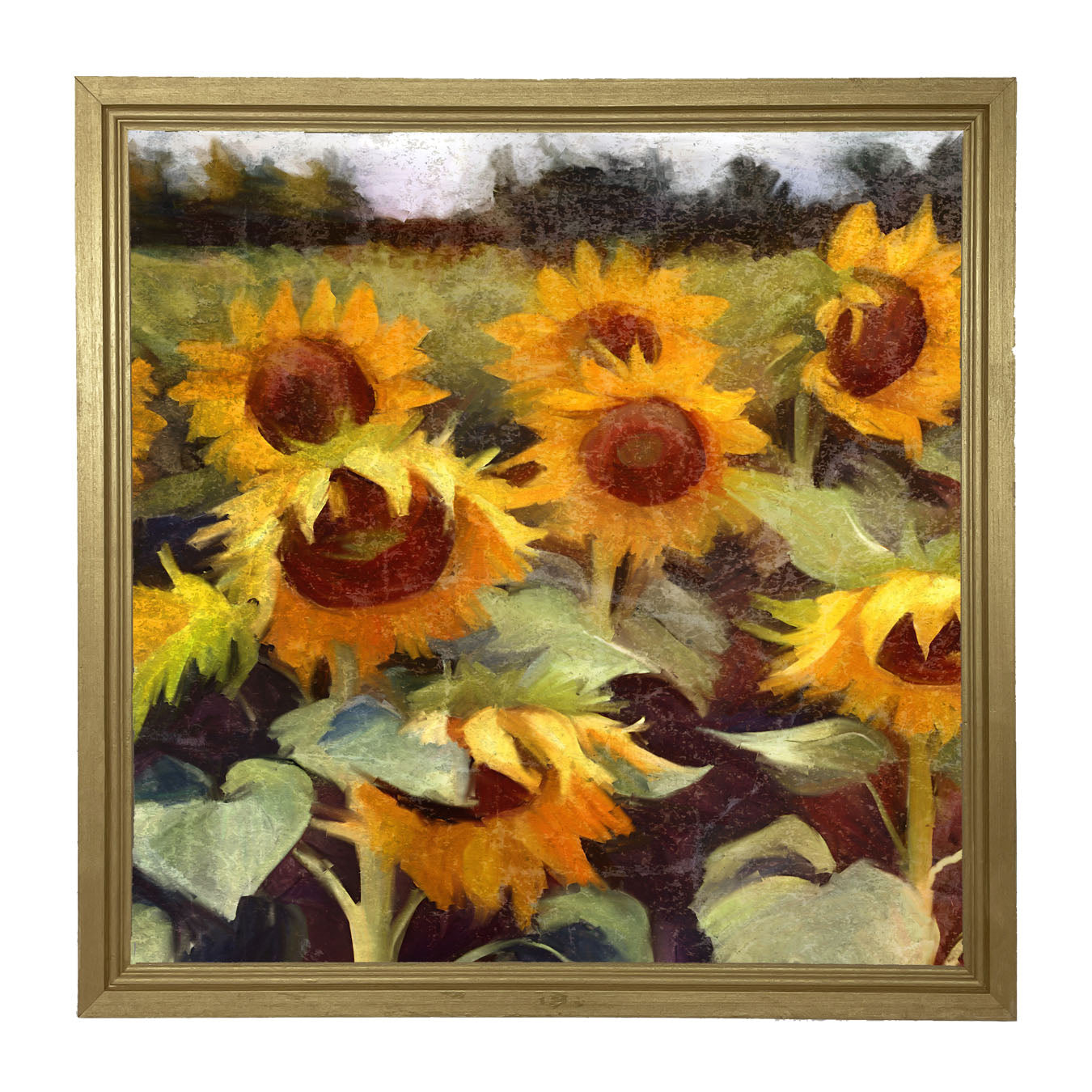 Scenic Sunflowers - Framed Art