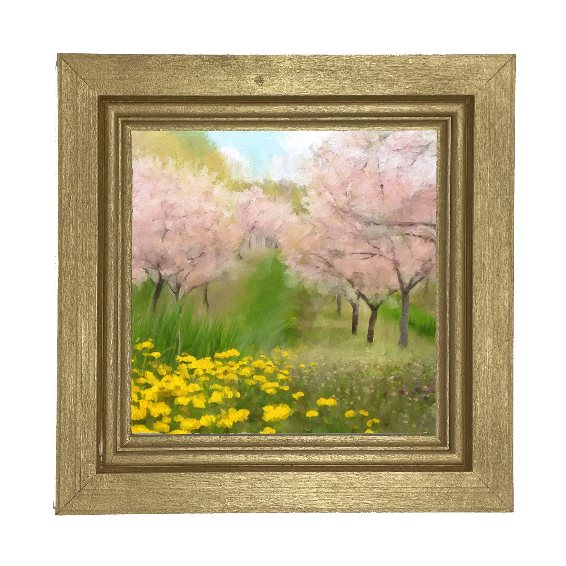 Cherry Blossoms in Bloom - Framed art