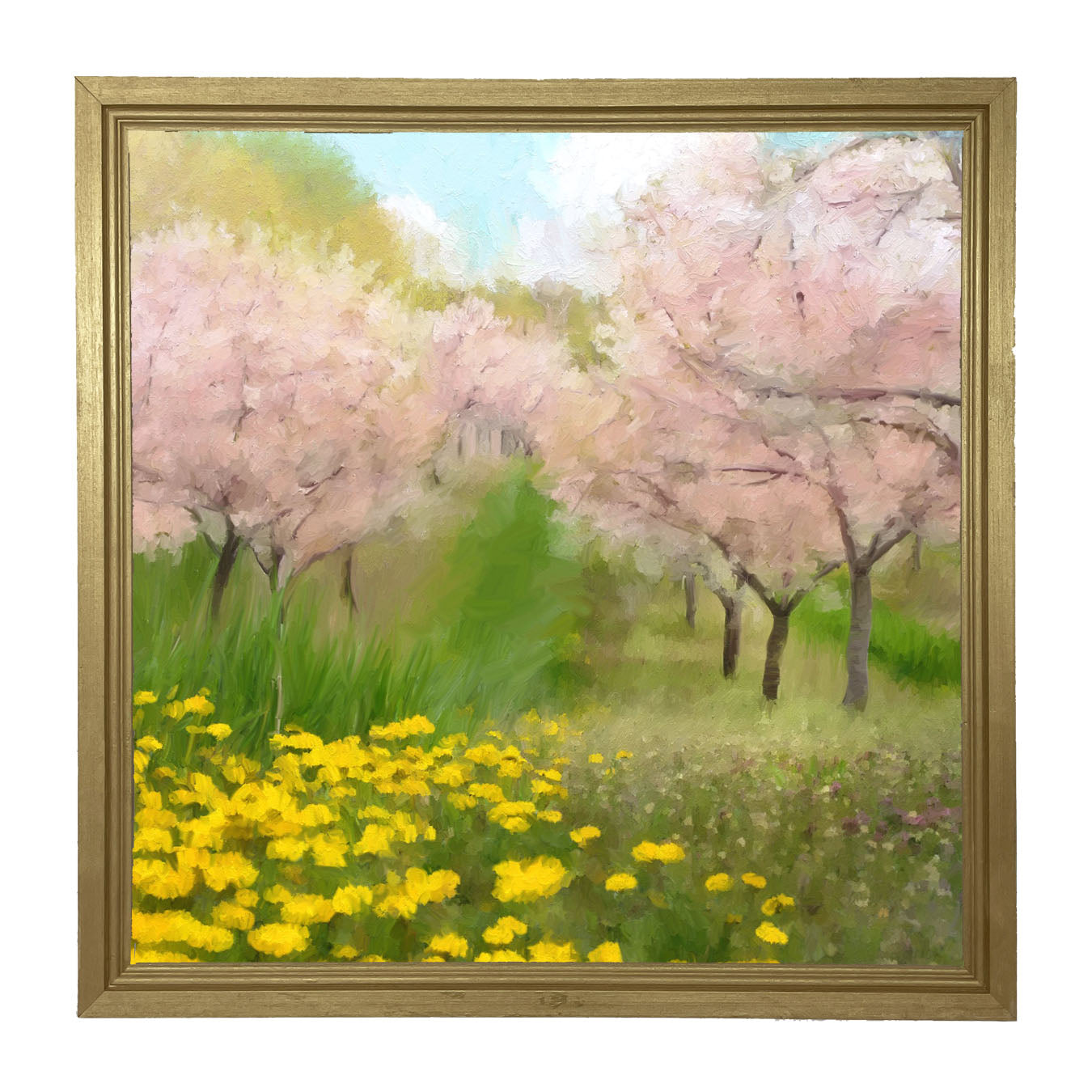 Cherry Blossoms in Bloom - Framed art