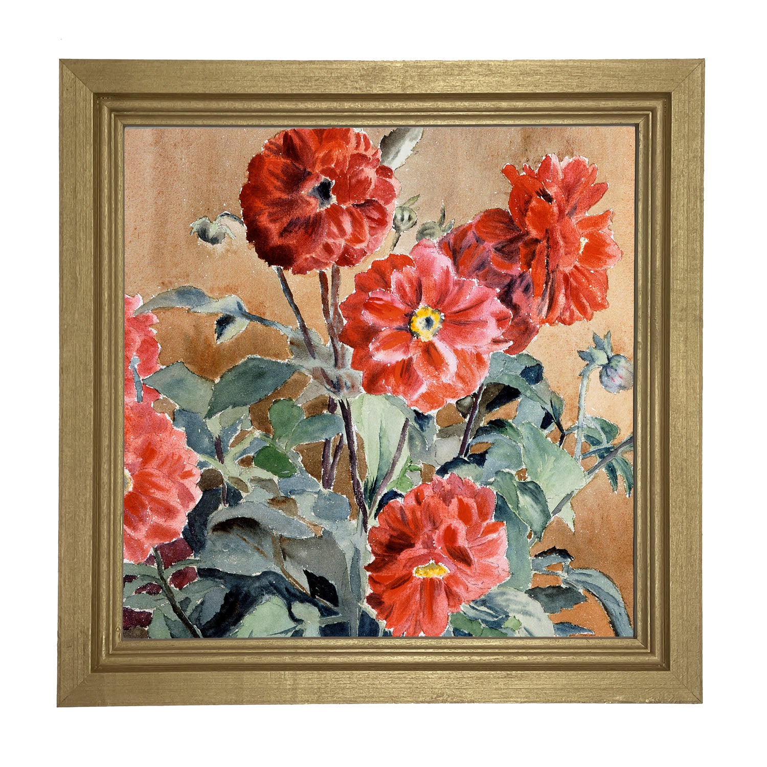 Watercolor Zinnias - Framed art