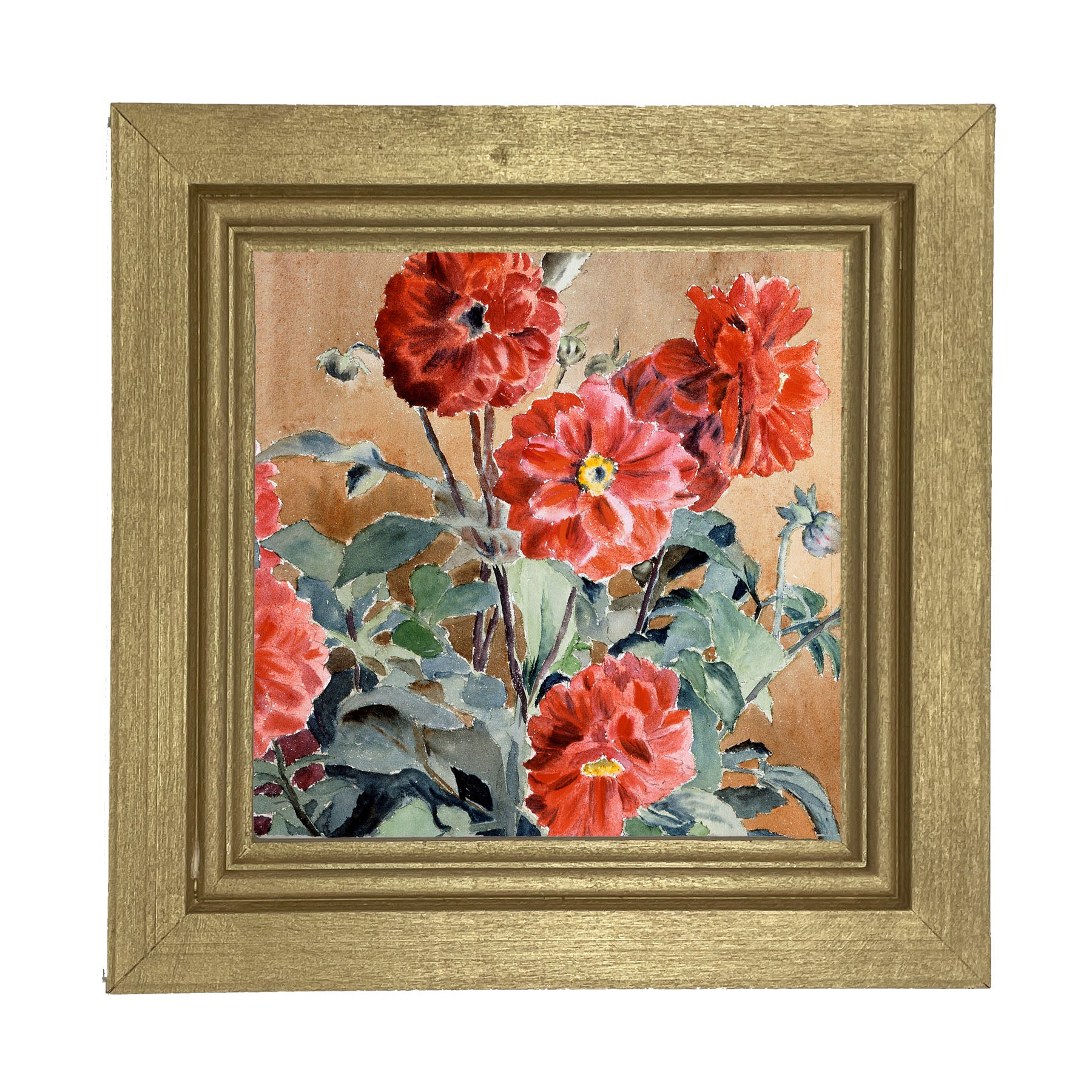 Watercolor Zinnias - Framed art