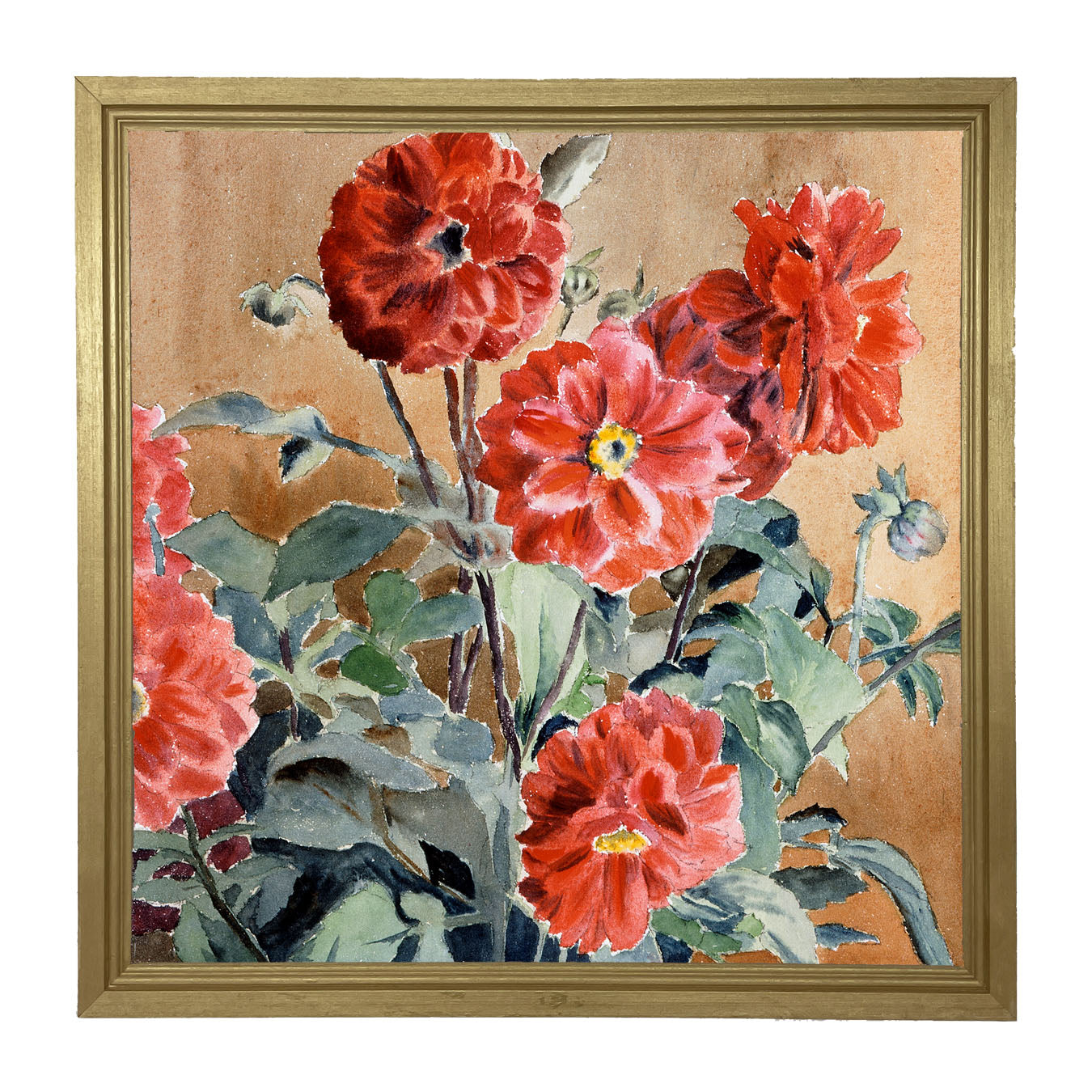 Watercolor Zinnias - Framed art