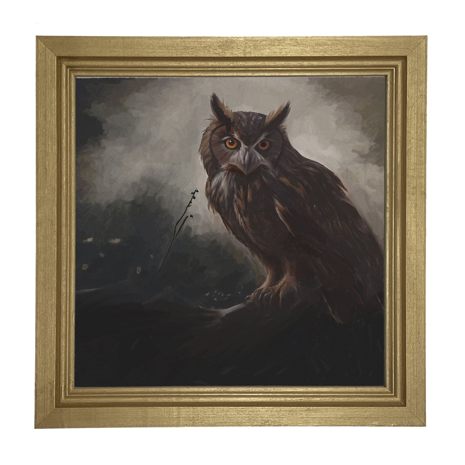 Night Owl - Framed Art
