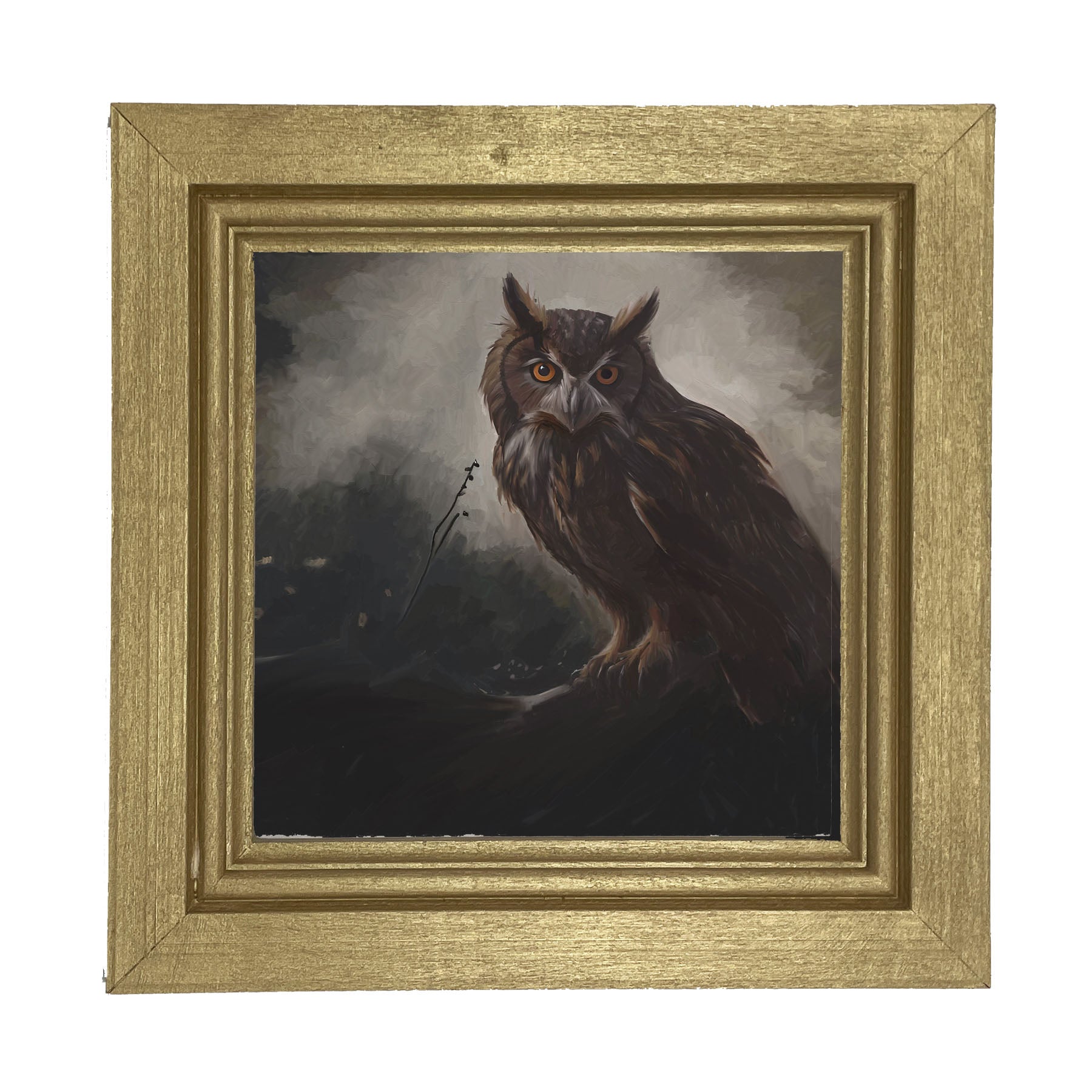 Night Owl - Framed Art