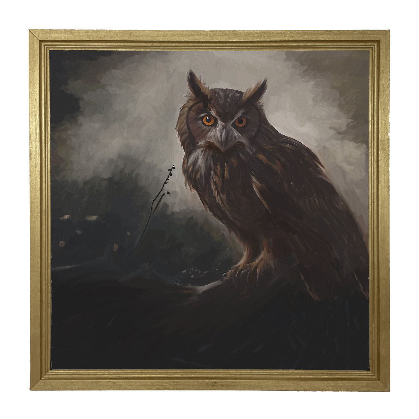 Night Owl - Framed Art