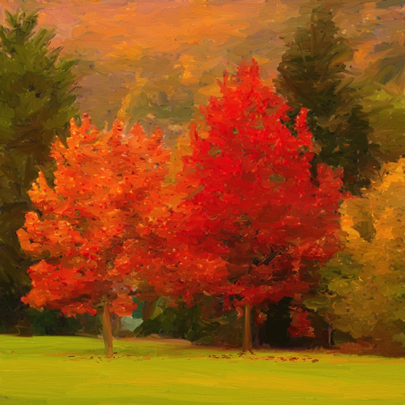 without_frame_square