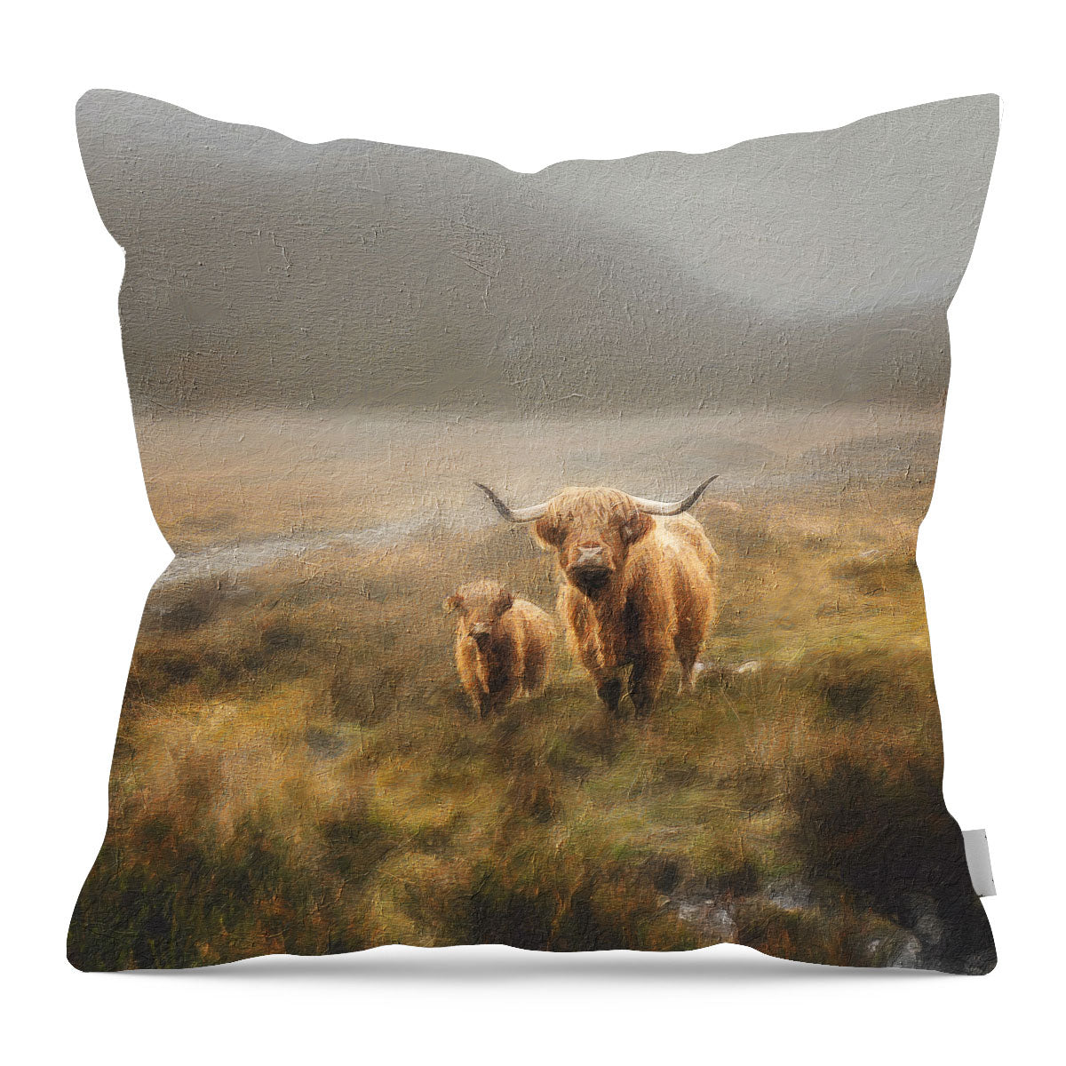 Highland Cows in field - Pillow