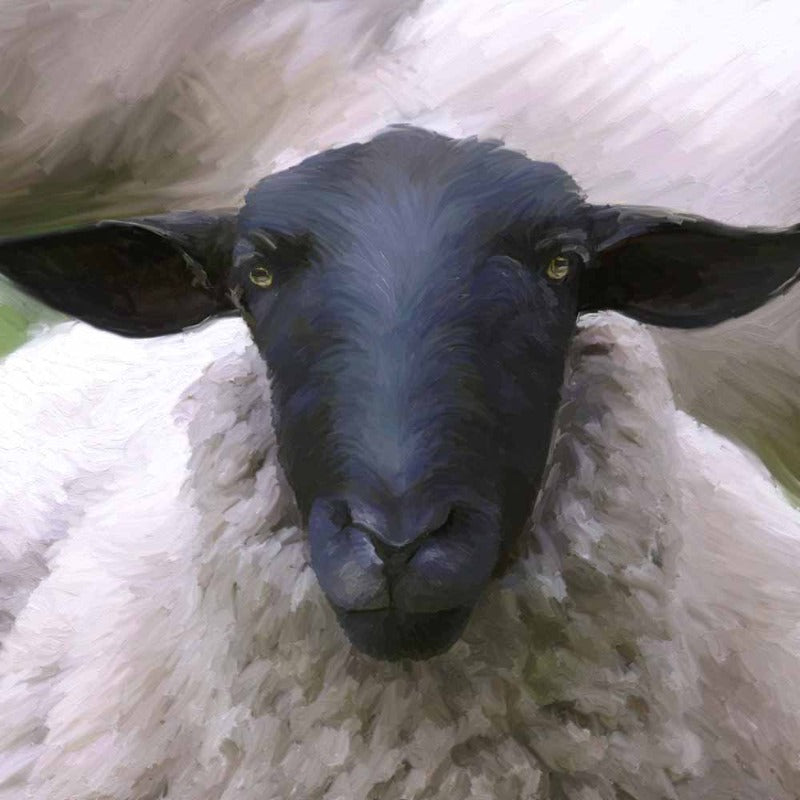 without_frame_square