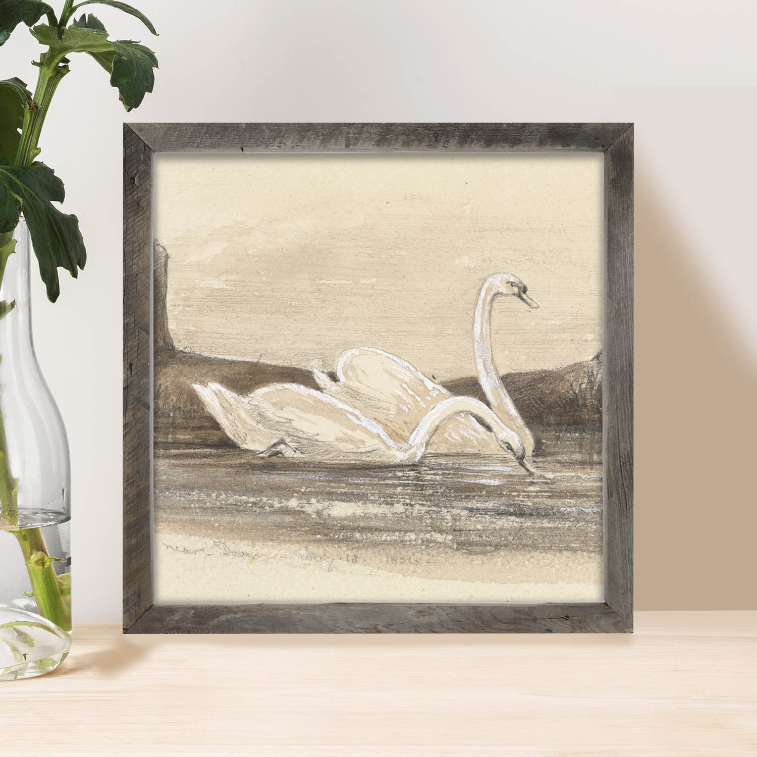 Vintage Two Swans