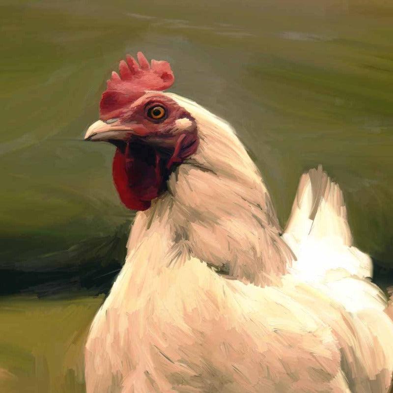 without_frame_square