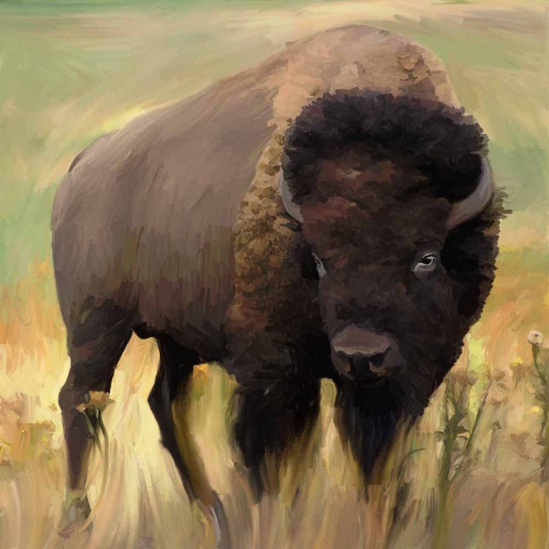 without_frame_square