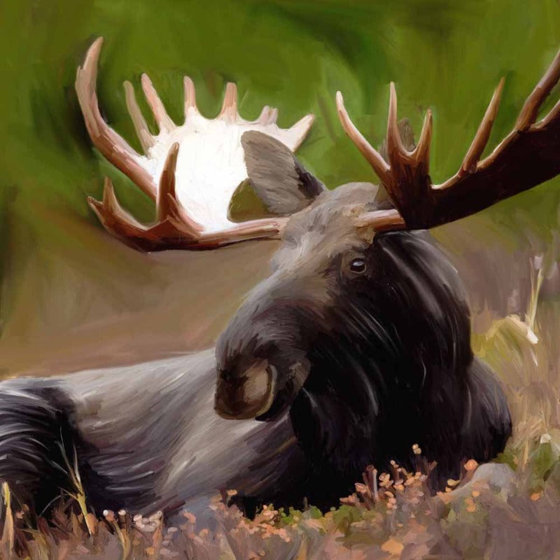 without_frame_square