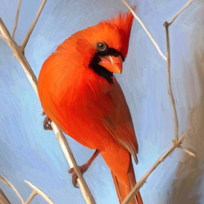 without_frame_square