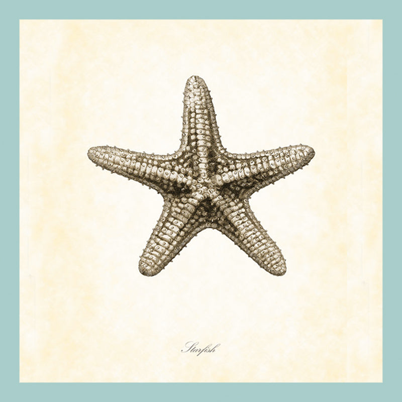 without_frame_square