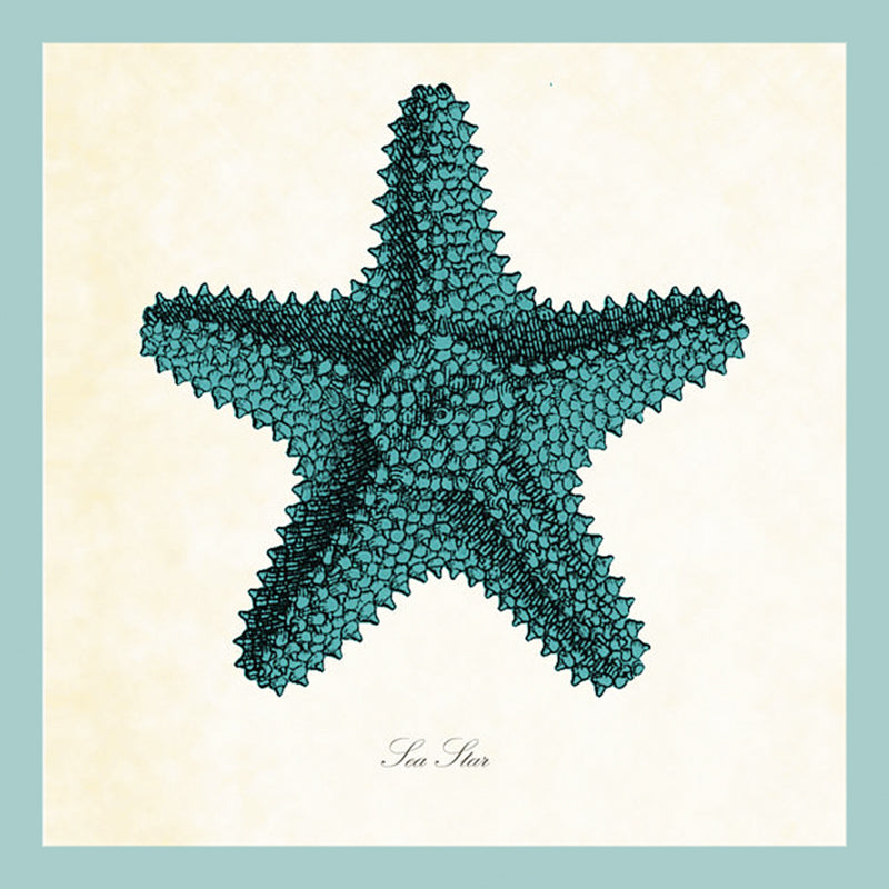 without_frame_square