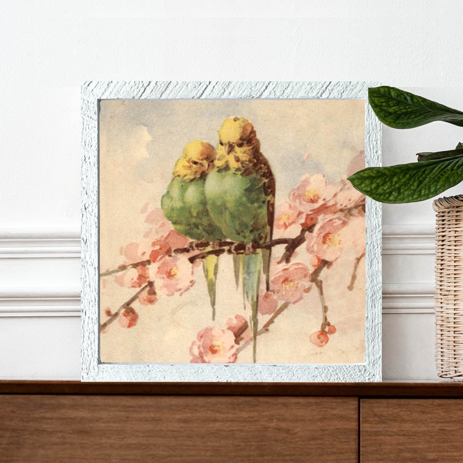 Yellow Headed Parakeets