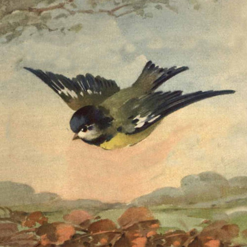 without_frame_square