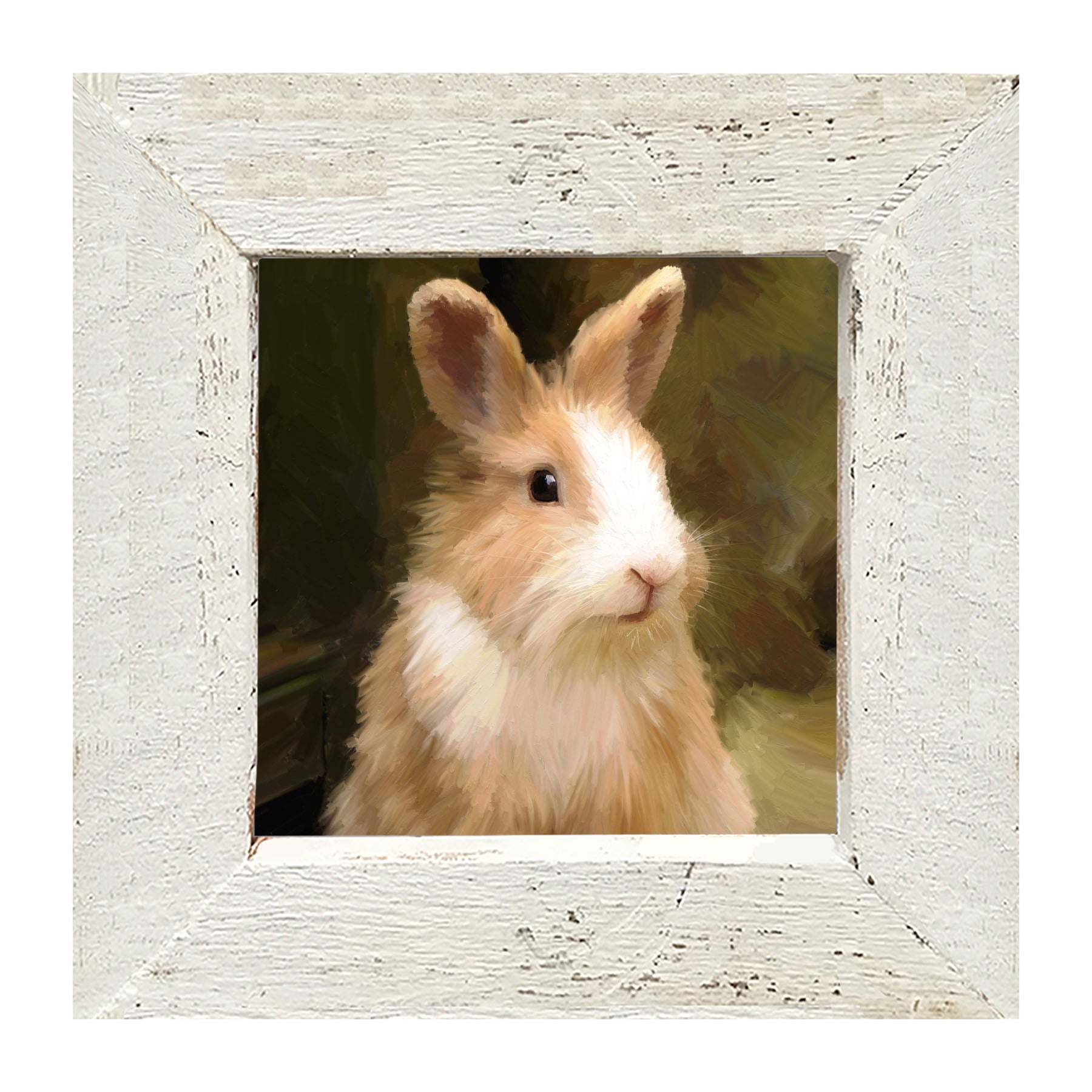 Sitting Rabbit - Framed Art