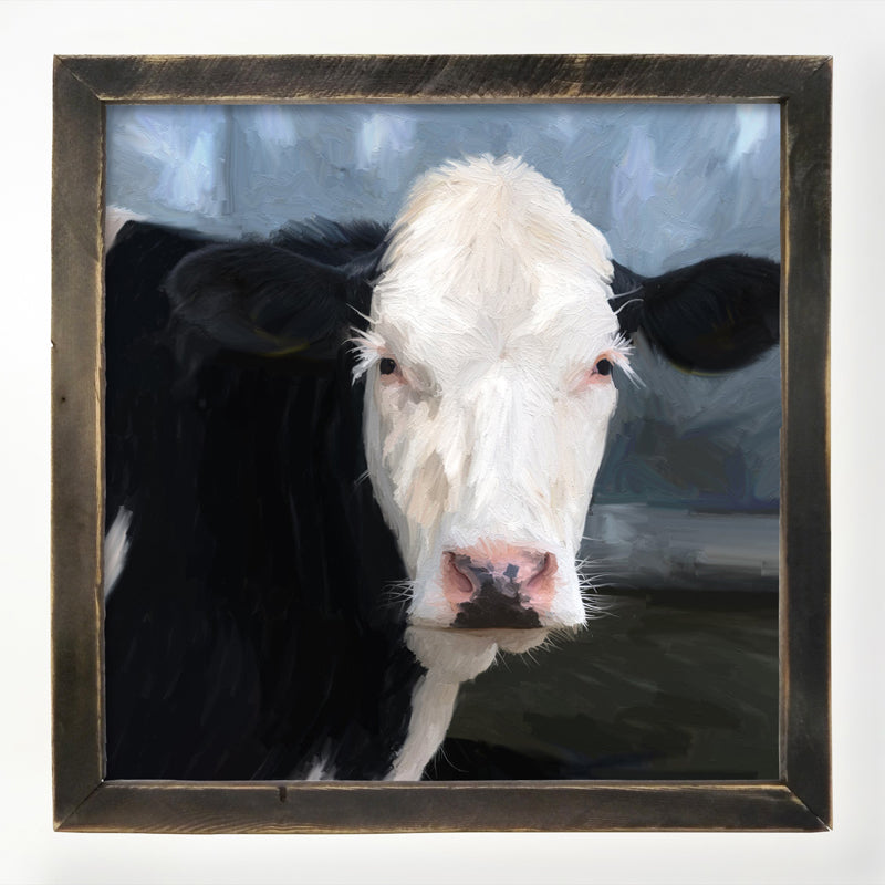 Holstein cow portrait