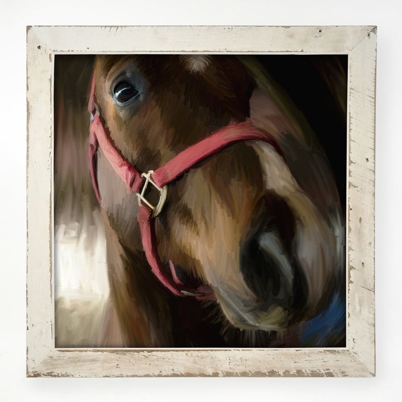 Horse Selfie