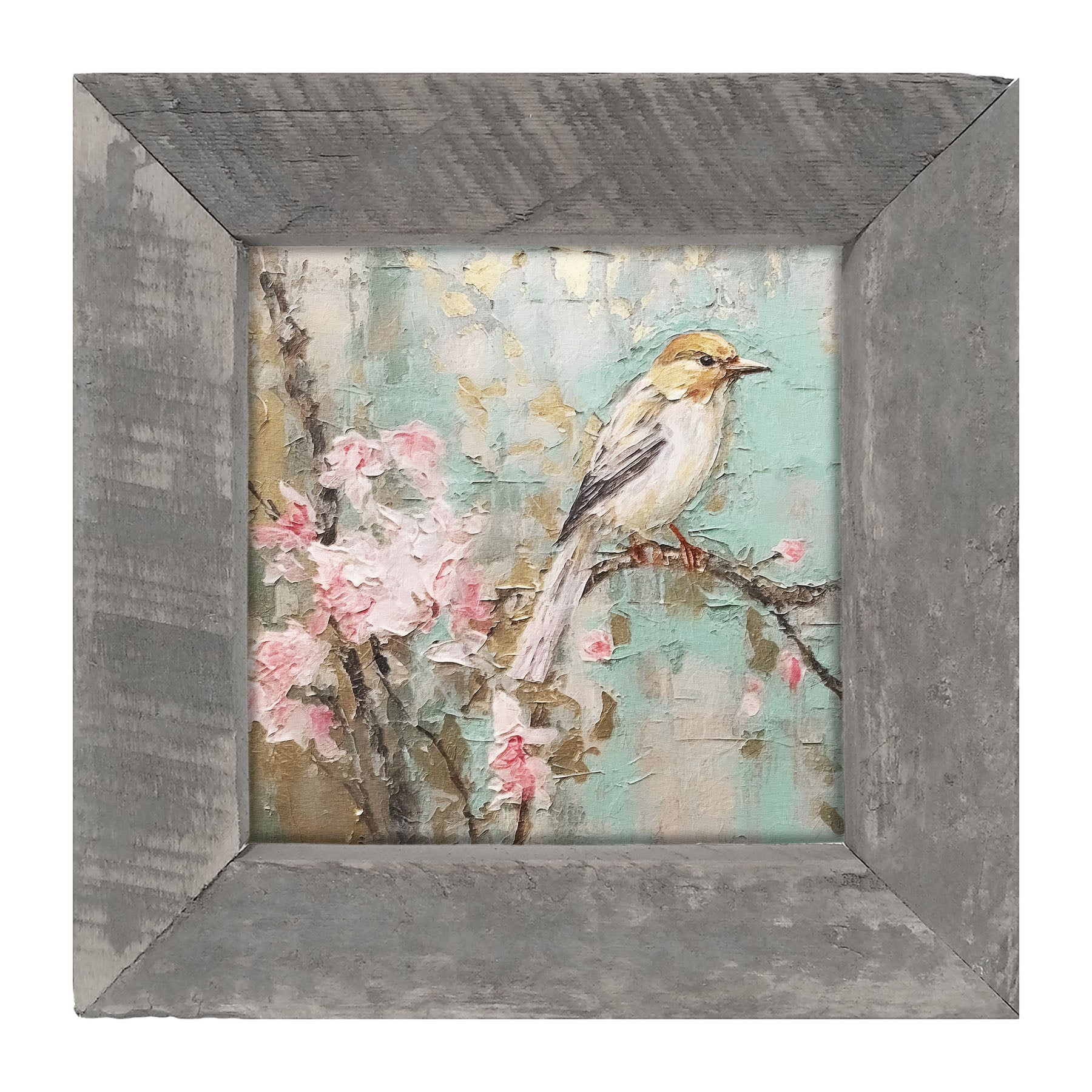 White-breasted bird on cherry blossom branch - Framed Art