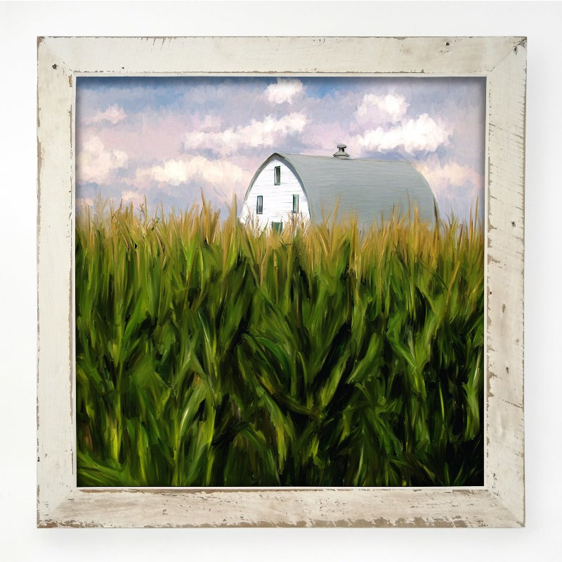 Corn Fields Barn