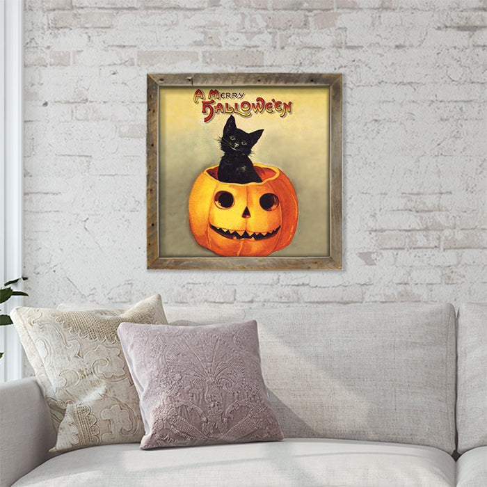 Black Cat in Jack-o-lantern