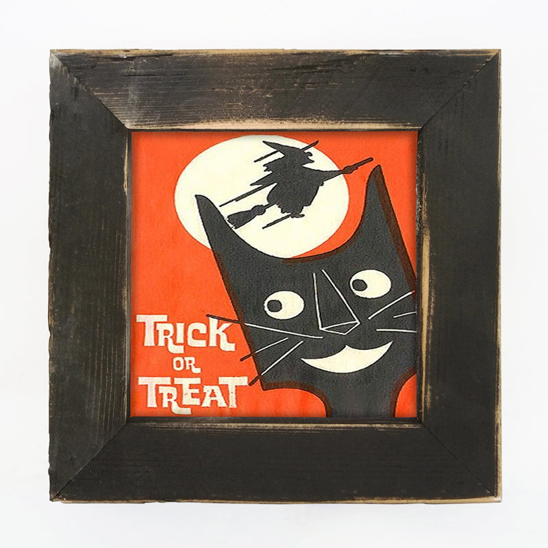 Trick or Treat Cat