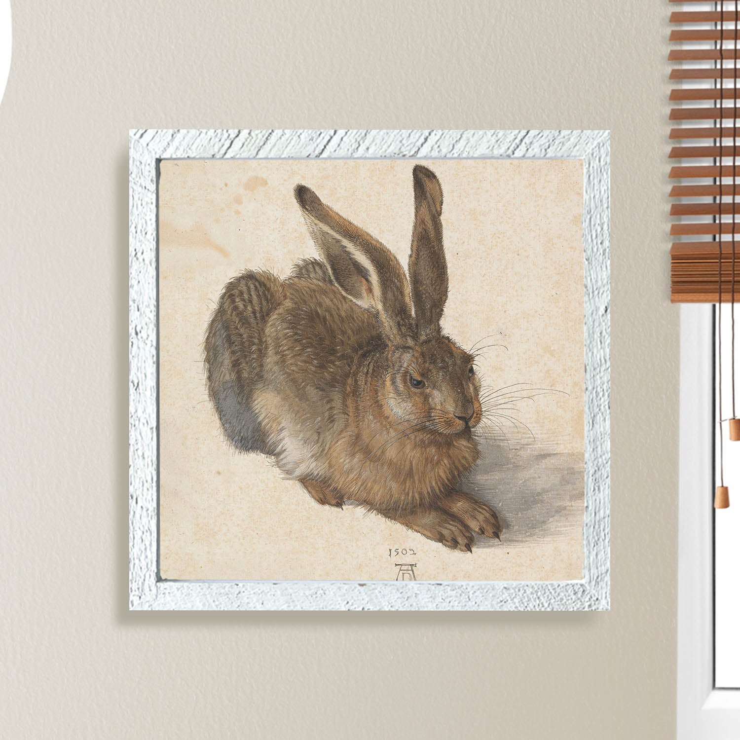 Brown Bunny