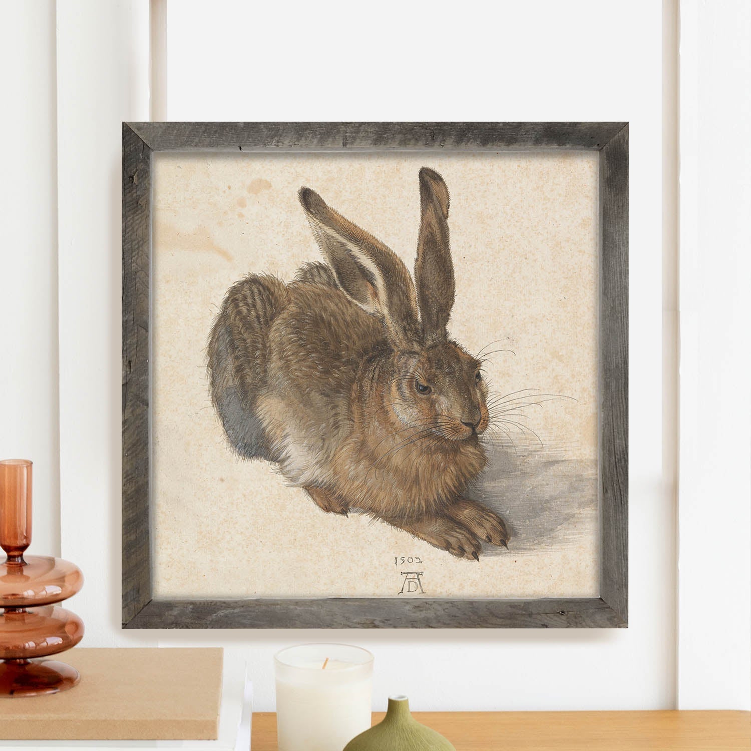 Brown Bunny