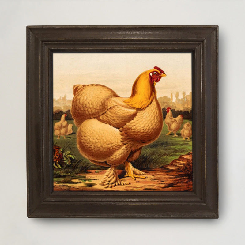 Golden Chicken