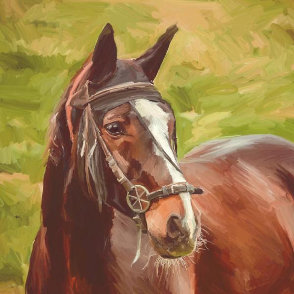 without_frame_square