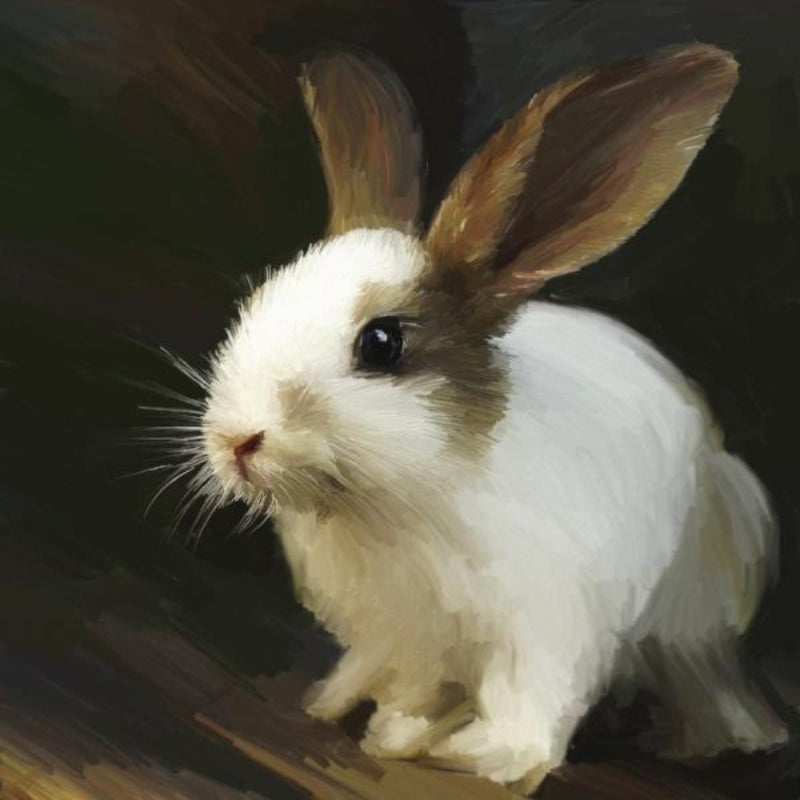 without_frame_square