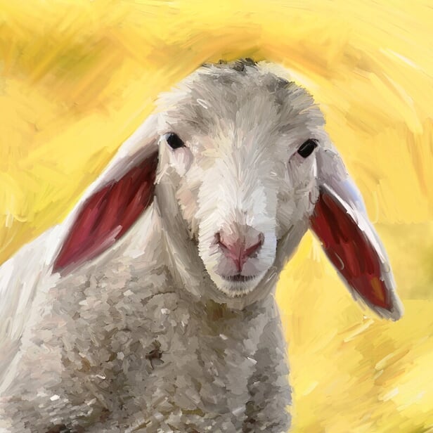 without_frame_square