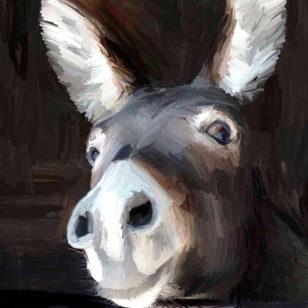 Donkey
