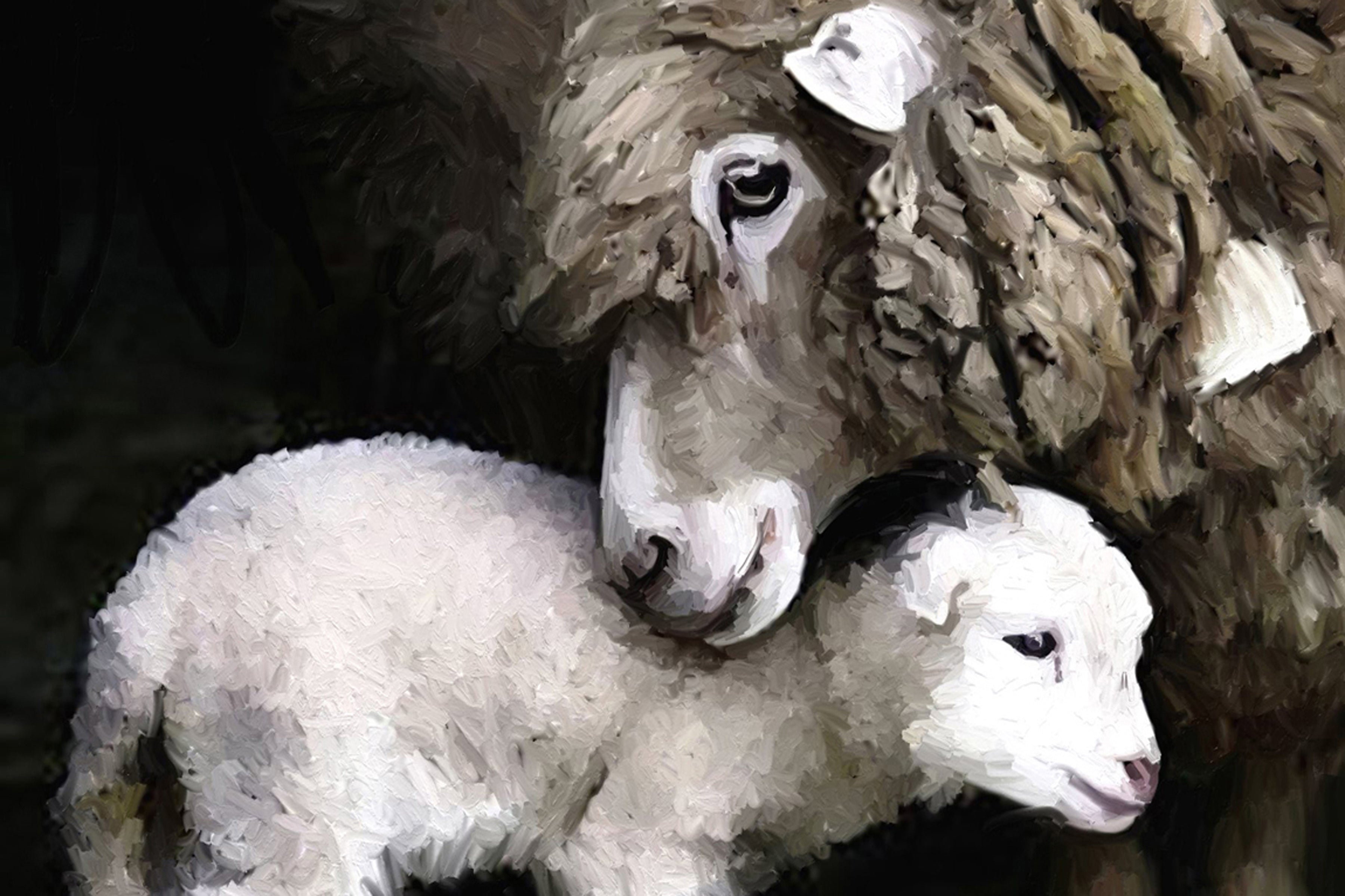 Mother Lamb