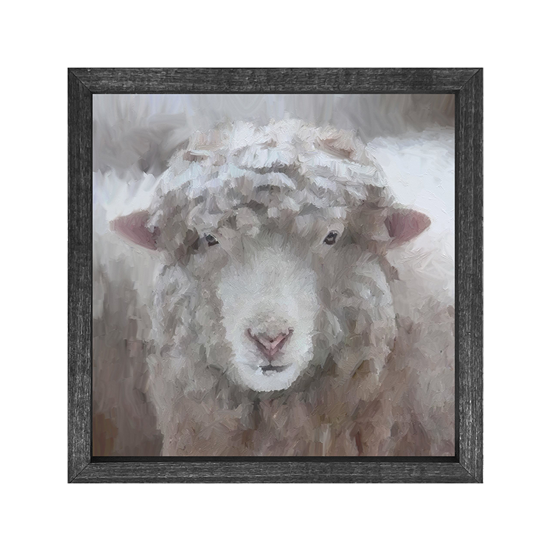 Winter Sheep Face