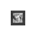 Gallery Frame