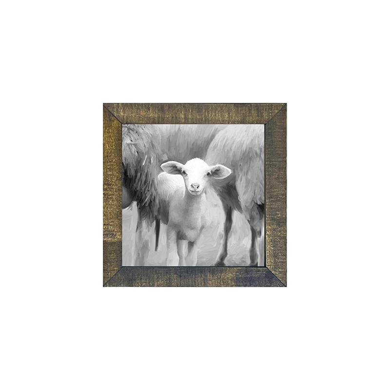 Little Sheep