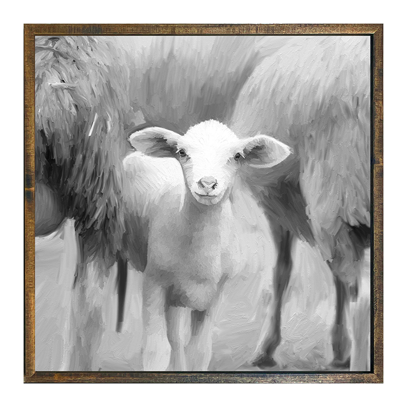 Little Sheep