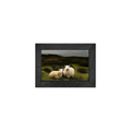 Gallery Frame