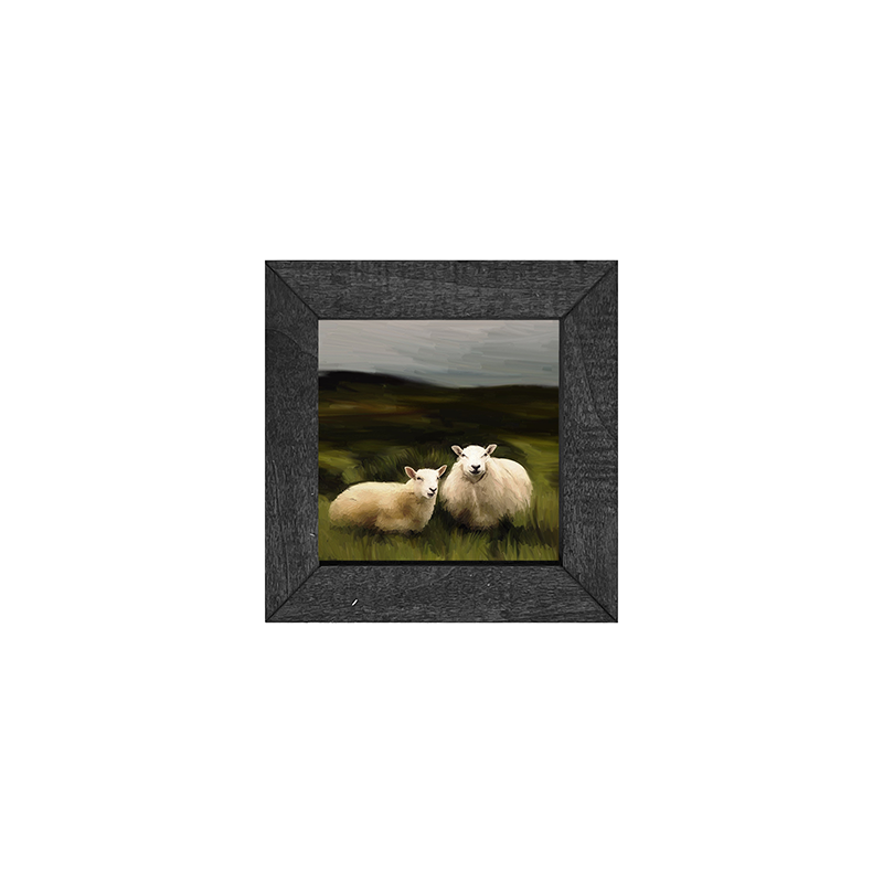 Two sheep in a pasture