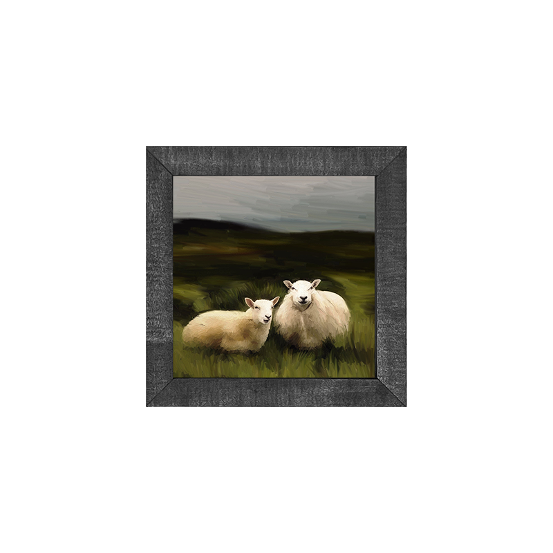 Two sheep in a pasture