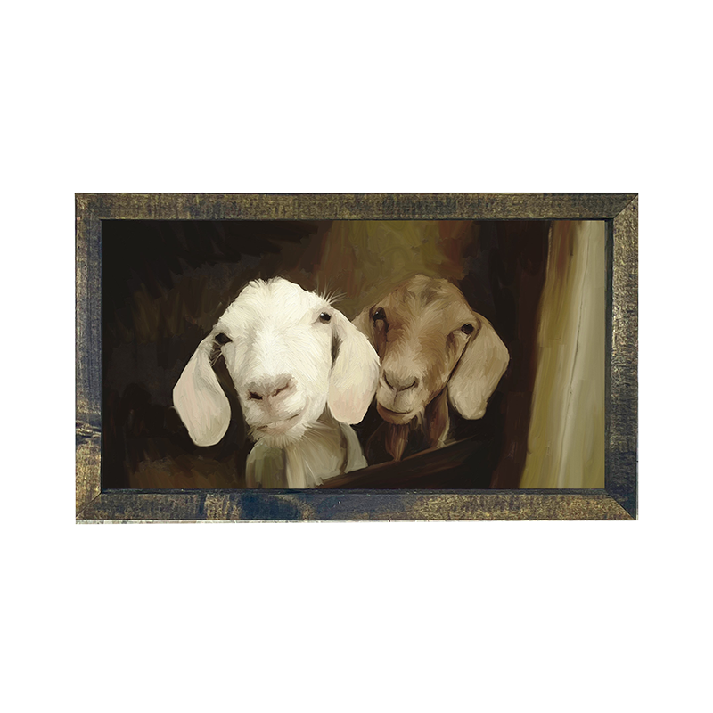 Two goat friends H