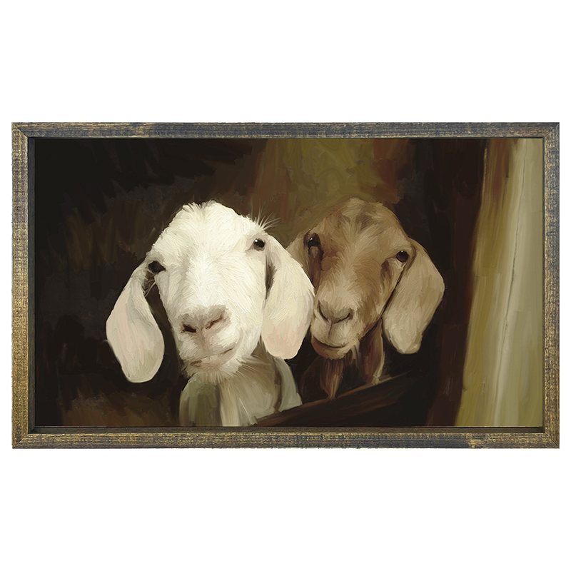 Two goat friends H
