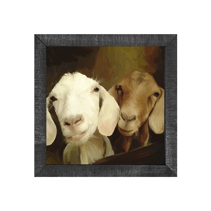 Two goat friends