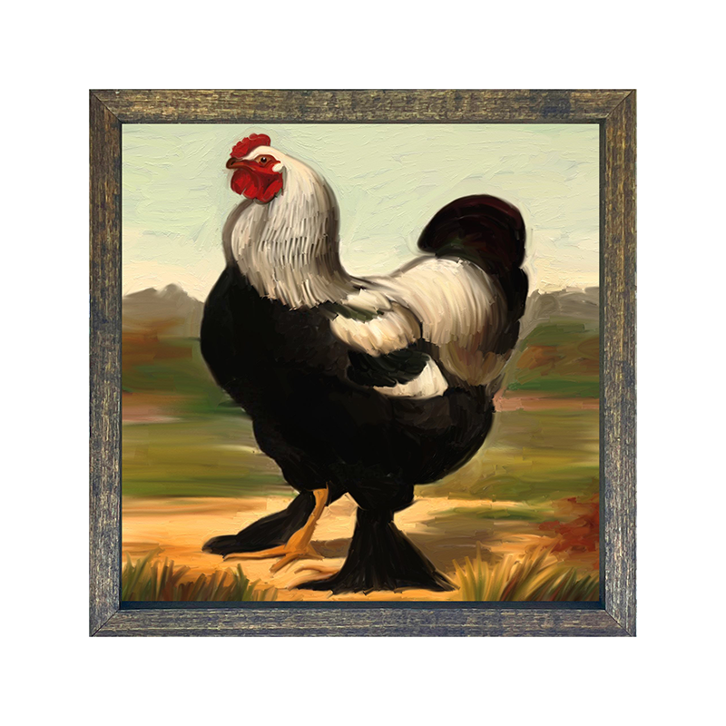 Black Rooster