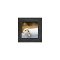 Gallery Frame