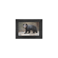 Gallery Frame